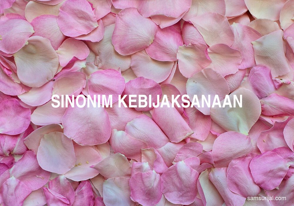 Sinonim Kebijaksanaan