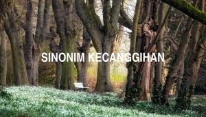 Sinonim Kecanggihan
