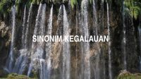 Sinonim Kegalauan