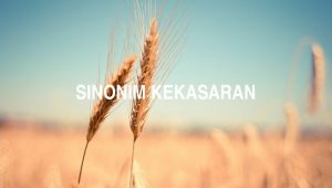 Sinonim Kekasaran