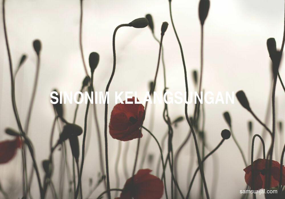 Sinonim Kelangsungan