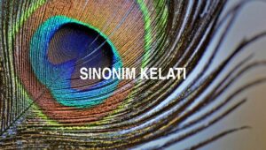 Sinonim Kelati