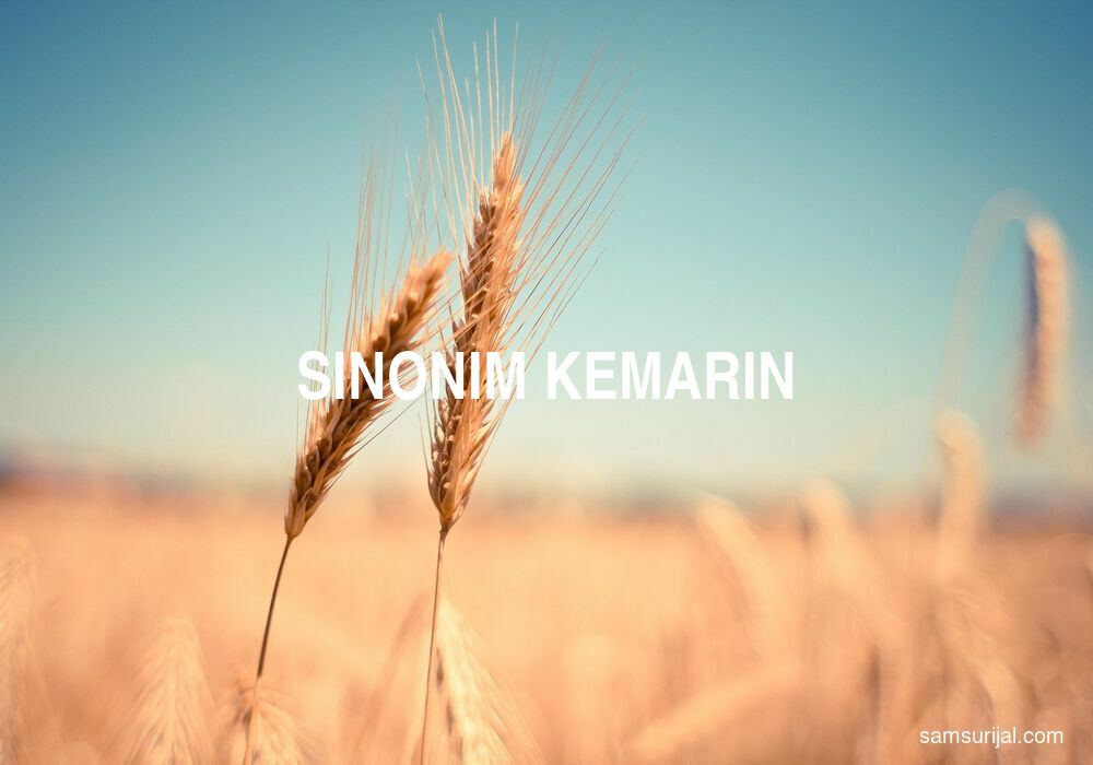 Sinonim Kemarin