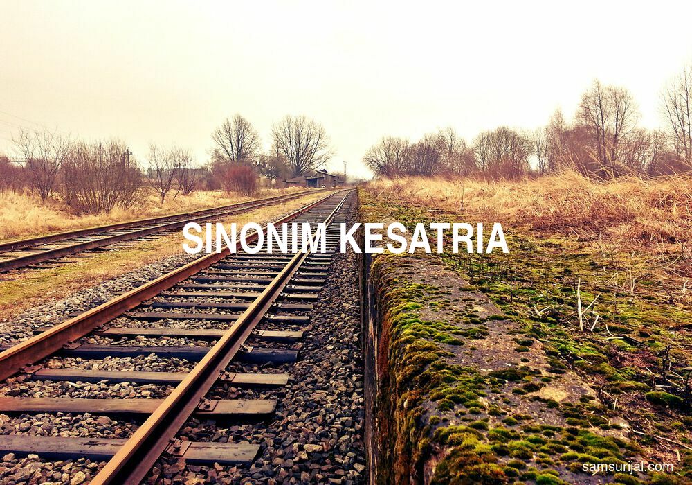 Sinonim Kesatria