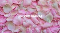 Sinonim Kiamat