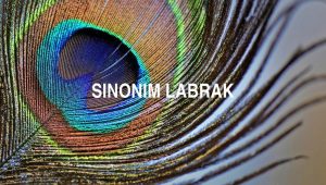 Sinonim Labrak