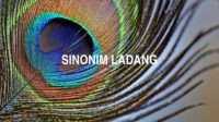 Sinonim Ladang