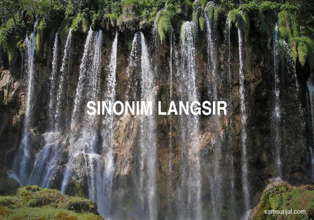 Sinonim Langsir