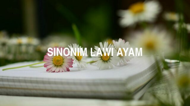 Sinonim Lawi Ayam