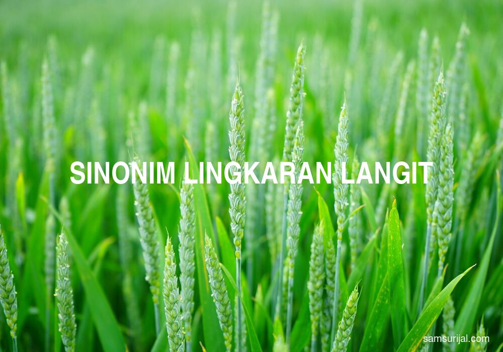 Sinonim Lingkaran Langit