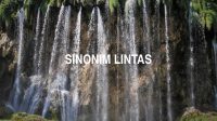 Sinonim Lintas