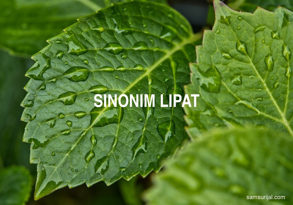 Sinonim Lipat