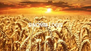 Sinonim Logis