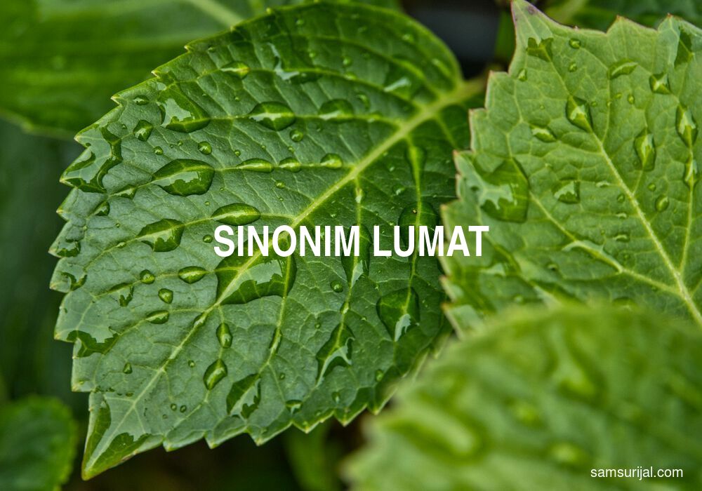 Sinonim Lumat