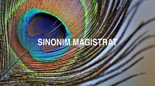 Sinonim Magistrat