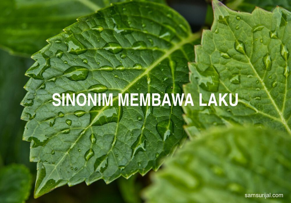 Sinonim Membawa Laku