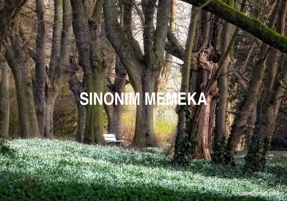 Sinonim Memeka