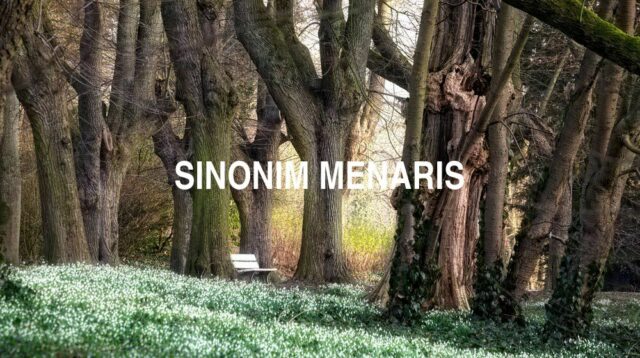 Sinonim Menaris