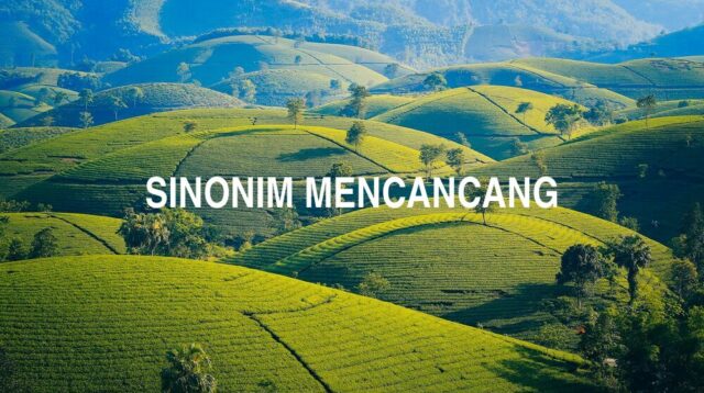 Sinonim Mencancang