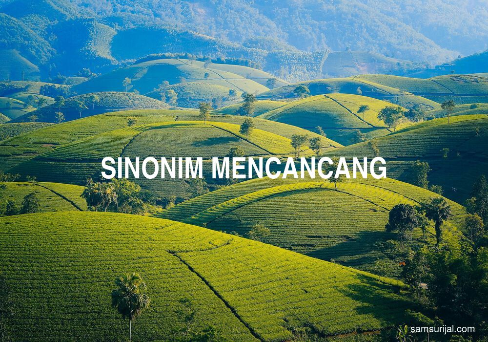 Sinonim Mencancang