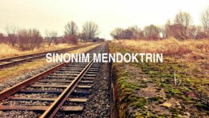 Sinonim Mendoktrin