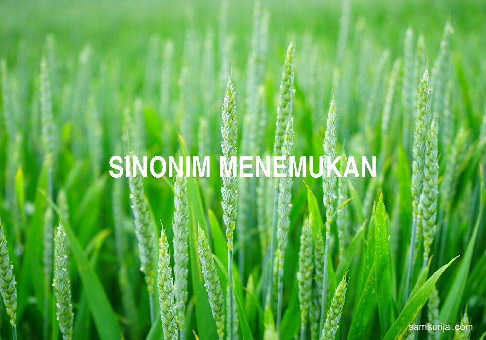 Sinonim Menemukan