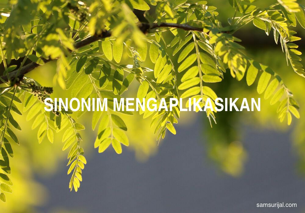 Sinonim Mengaplikasikan