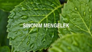 Sinonim Mengelek