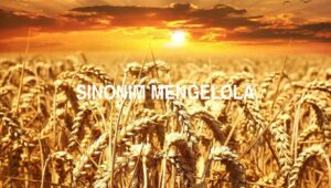 Sinonim Mengelola