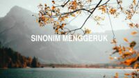 Sinonim Menggeruk