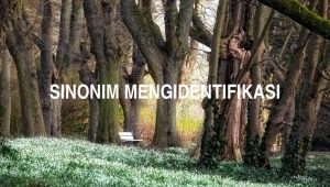 Sinonim Mengidentifikasi