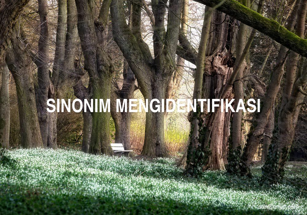 Sinonim Mengidentifikasi