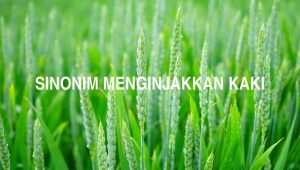 Sinonim Menginjakkan Kaki