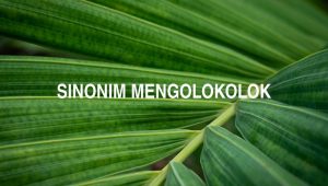 Sinonim Mengolokolok