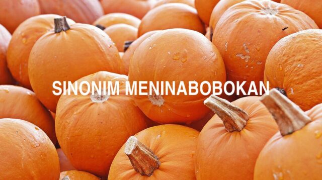 Sinonim Meninabobokan