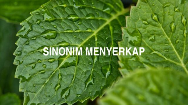 Sinonim Menyerkap