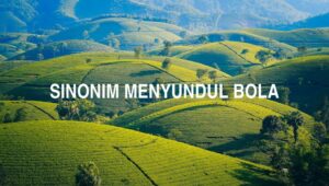 Sinonim Menyundul Bola