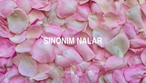 Sinonim Nalar