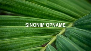 Sinonim Opname