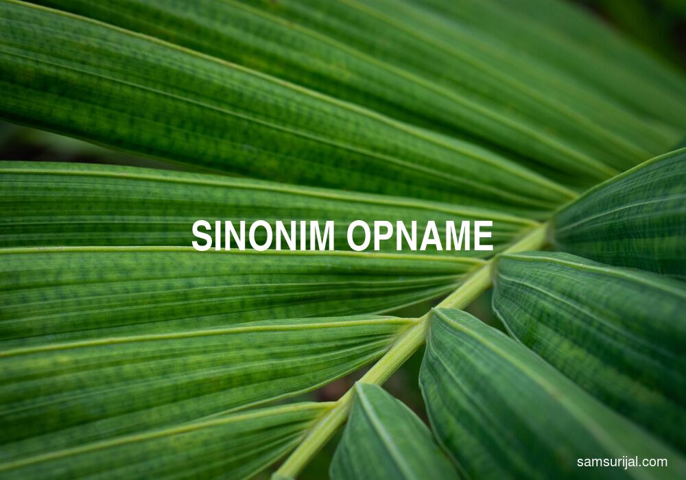 Sinonim Opname