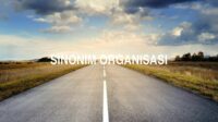 Sinonim Organisasi