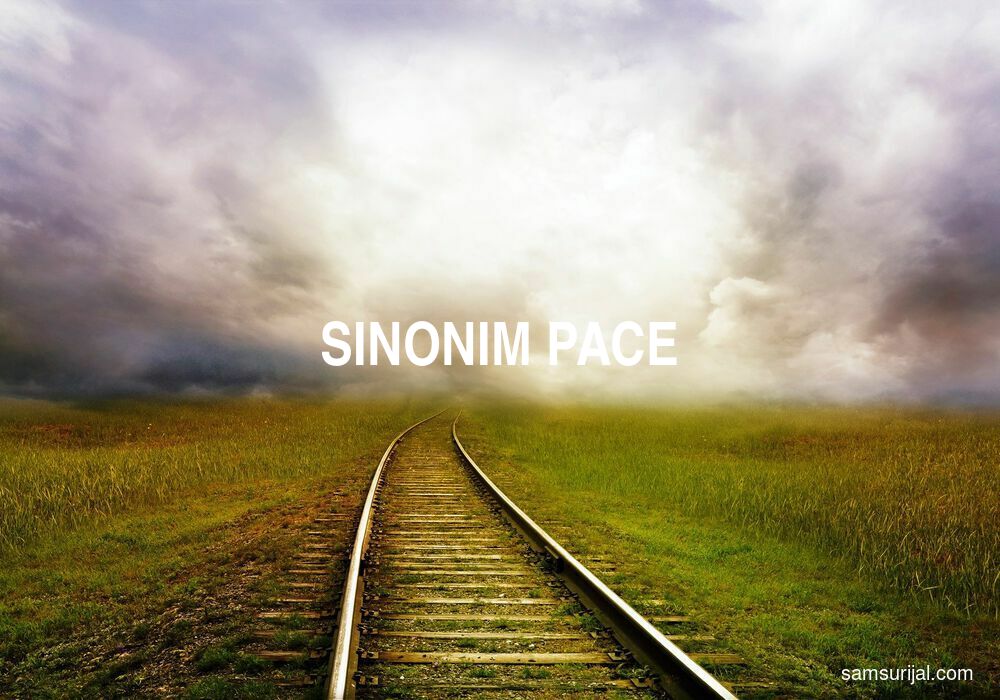 Sinonim Pace