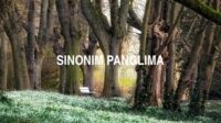 Sinonim Panglima