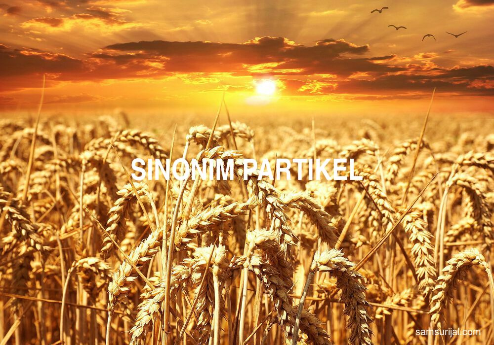 Sinonim Partikel