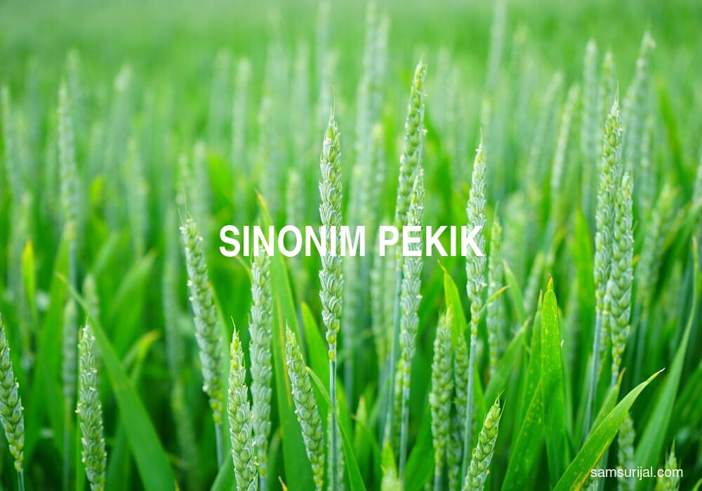 Sinonim Pekik