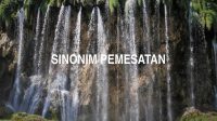 Sinonim Pemesatan