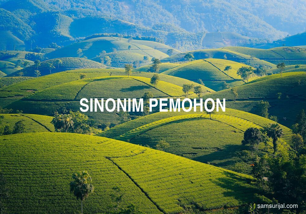 Sinonim Pemohon