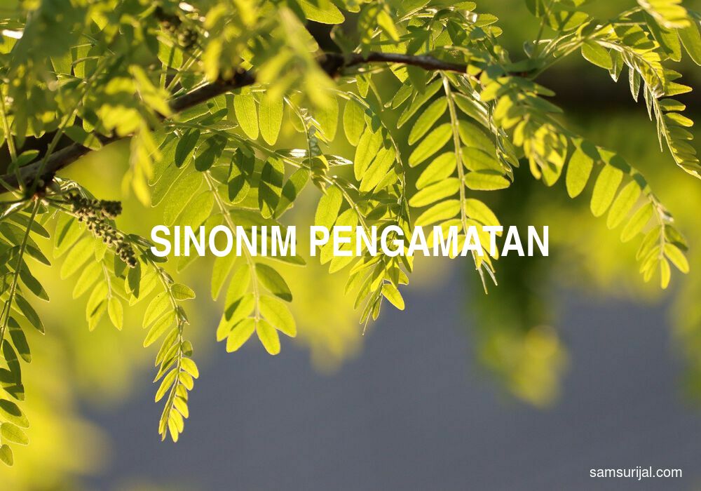 Sinonim Pengamatan