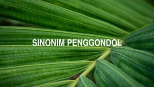 Sinonim Penggondol