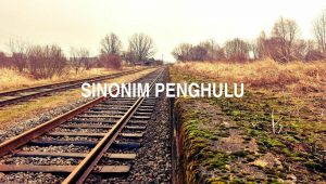 Sinonim Penghulu